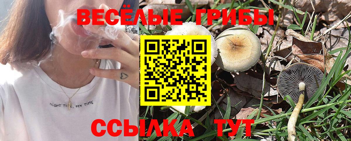 Галлюциногенные грибы Magic Shrooms Бузулук